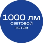 1000лм_синяя_текст