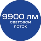 9900лм_синяя_текст