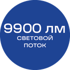 9900лм_синяя_текст
